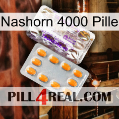Rhino 4000 Pill new12